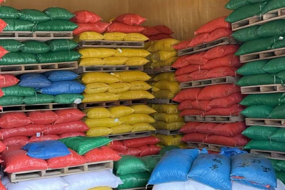 板栗子网批发出售迁西早期高端3113板栗和老树栗子