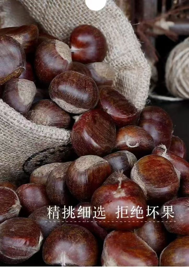 板栗子网。迁西板栗2025年收购价格